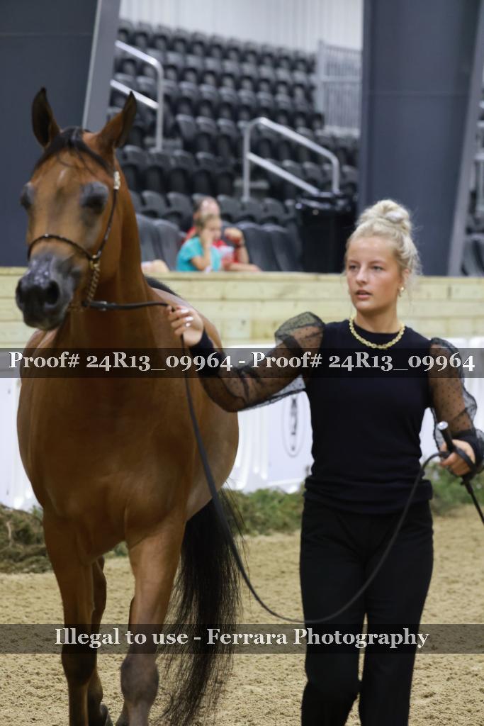 Proof 24R13_09964