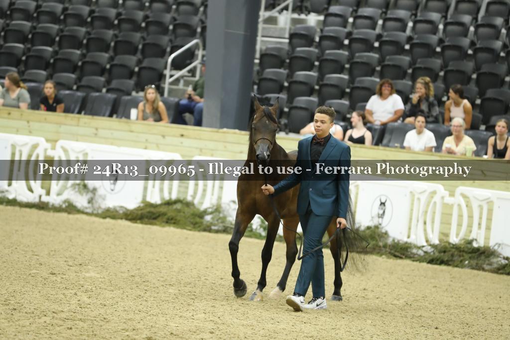 Proof 24R13_09965