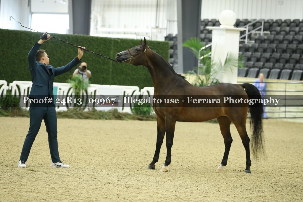 Proof 24R13_09967