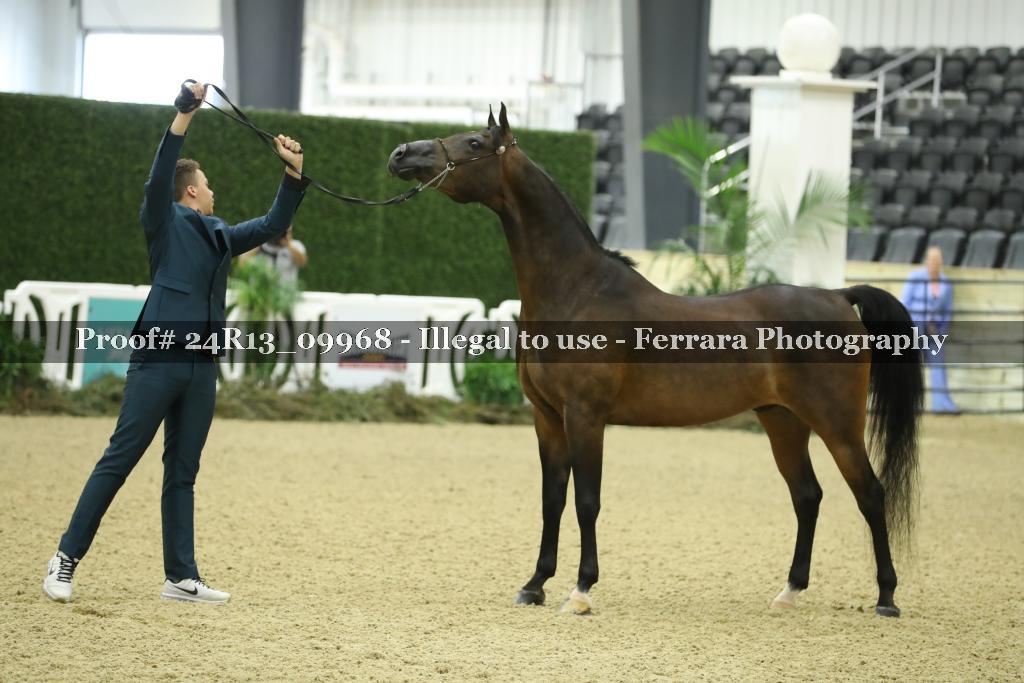 Proof 24R13_09968