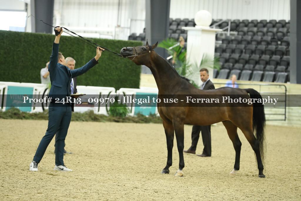 Proof 24R13_09970