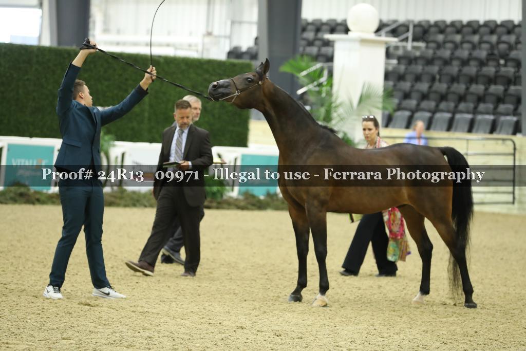 Proof 24R13_09971