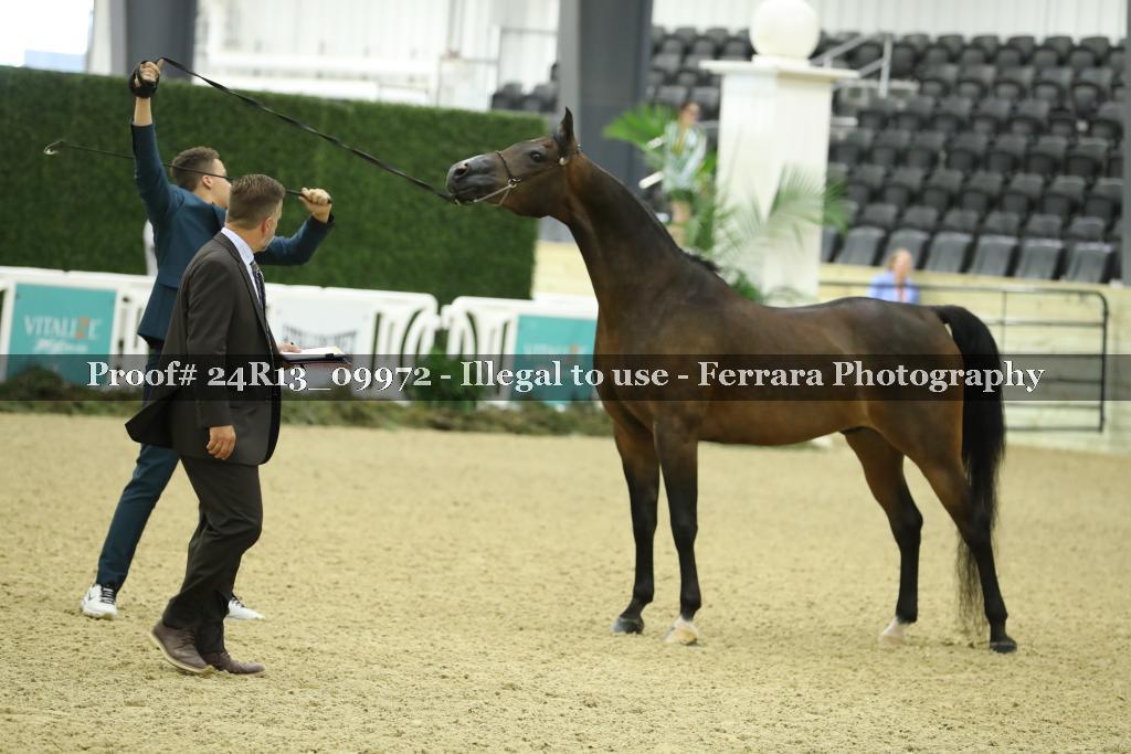 Proof 24R13_09972