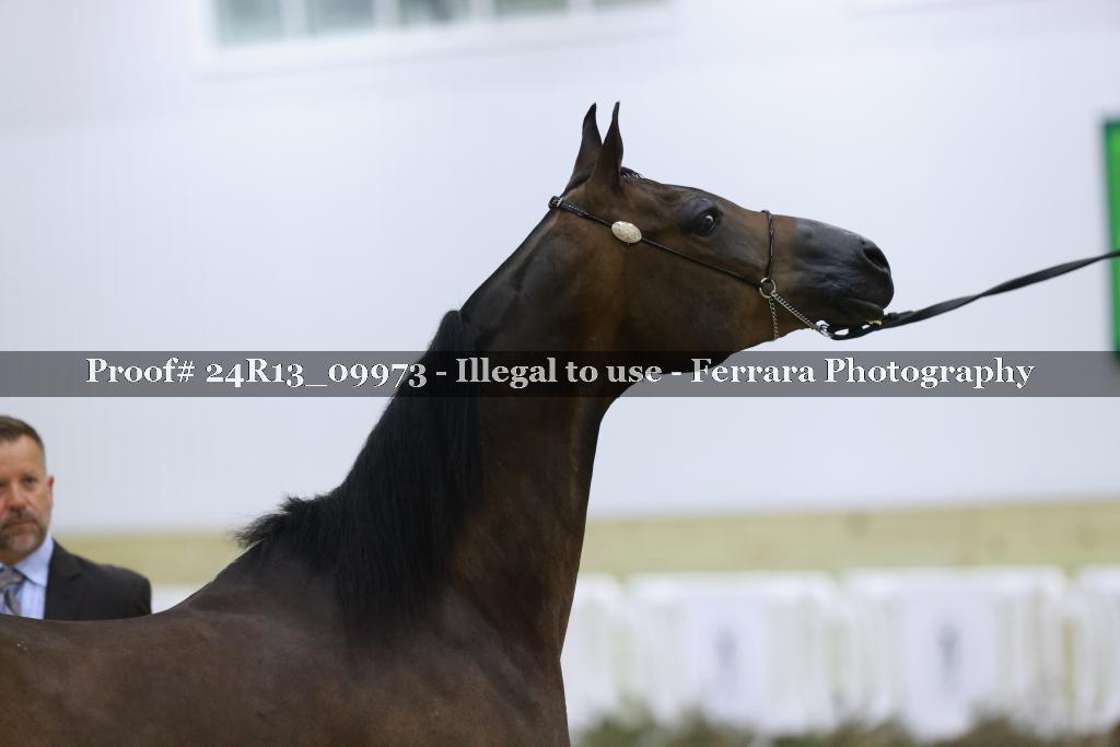Proof 24R13_09973