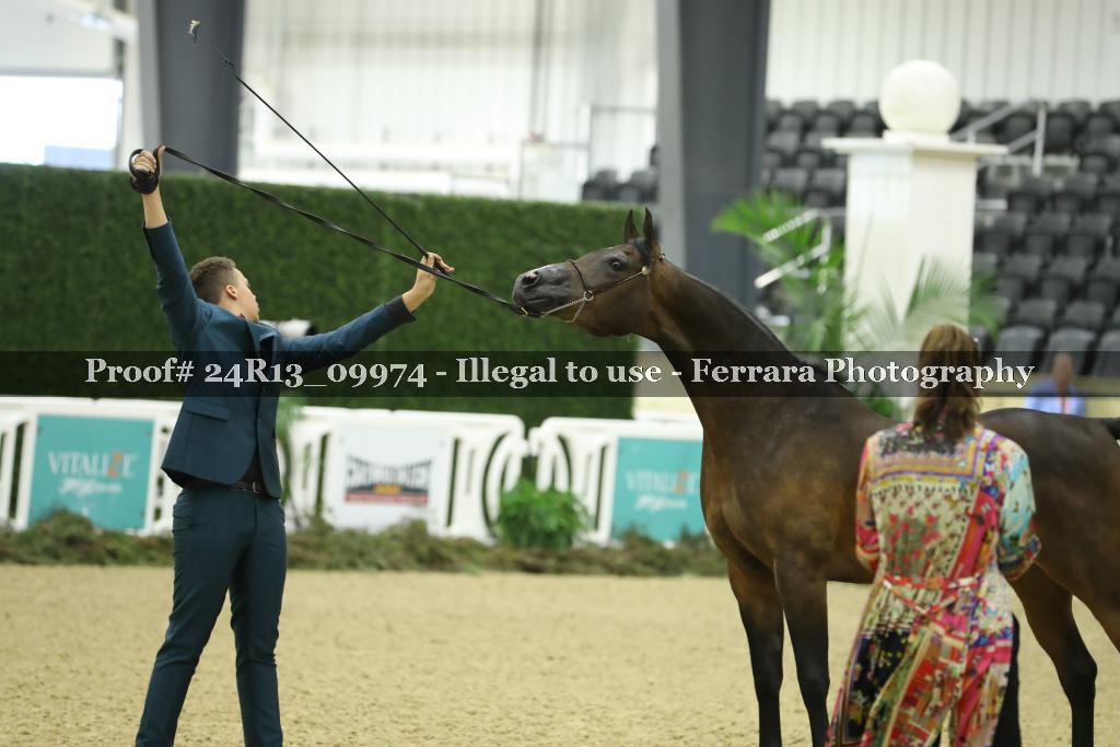 Proof 24R13_09974