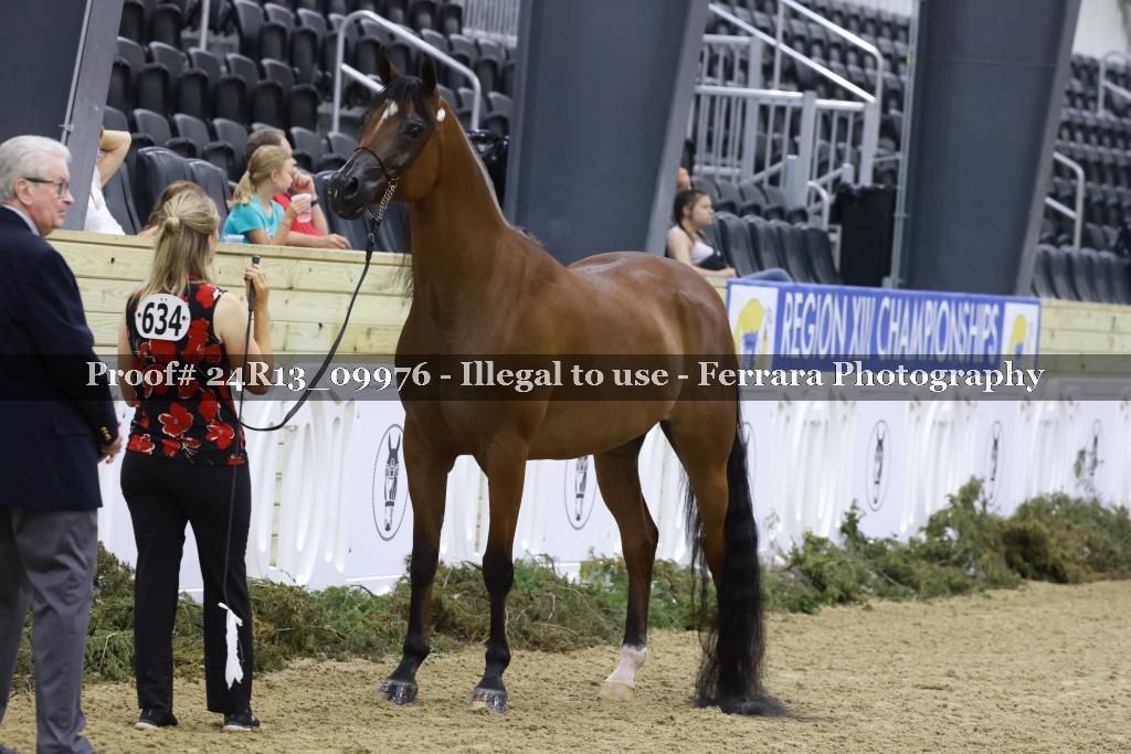 Proof 24R13_09976