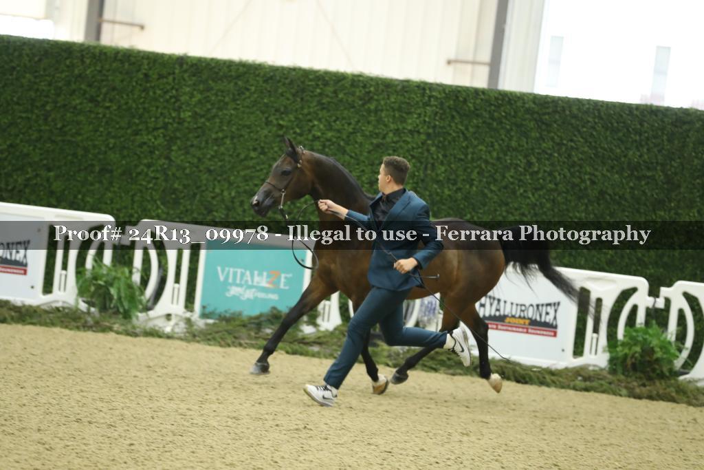 Proof 24R13_09978