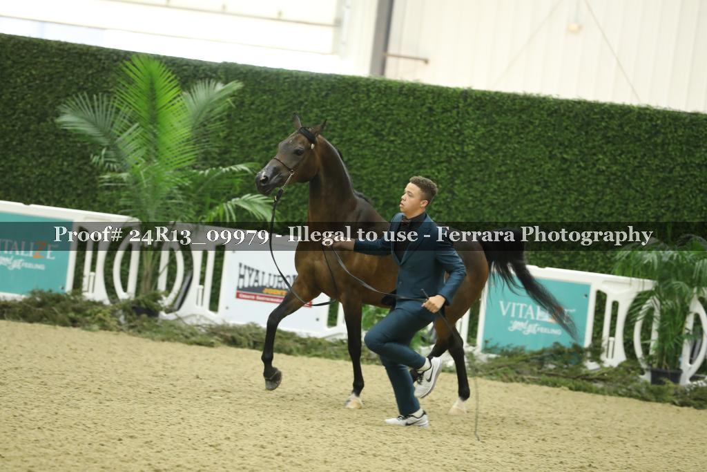 Proof 24R13_09979