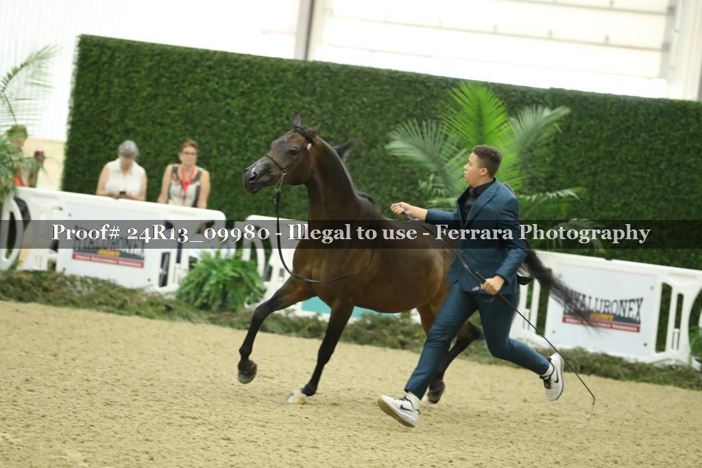 Proof 24R13_09980