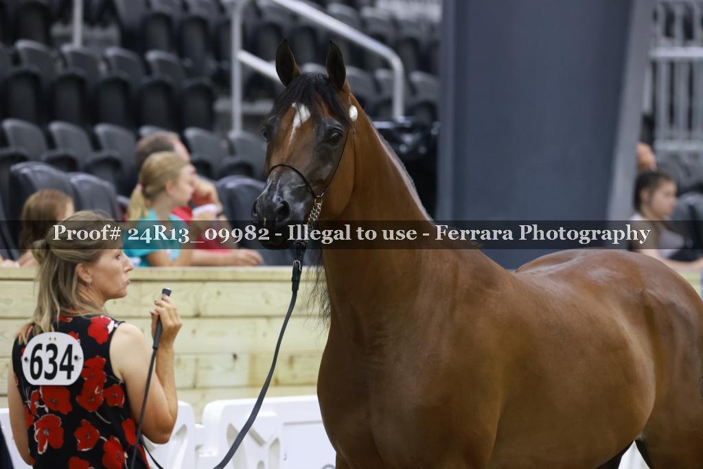 Proof 24R13_09982
