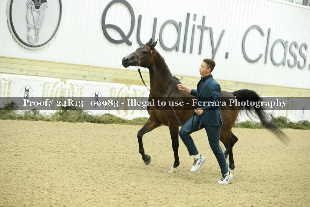 Proof 24R13_09983