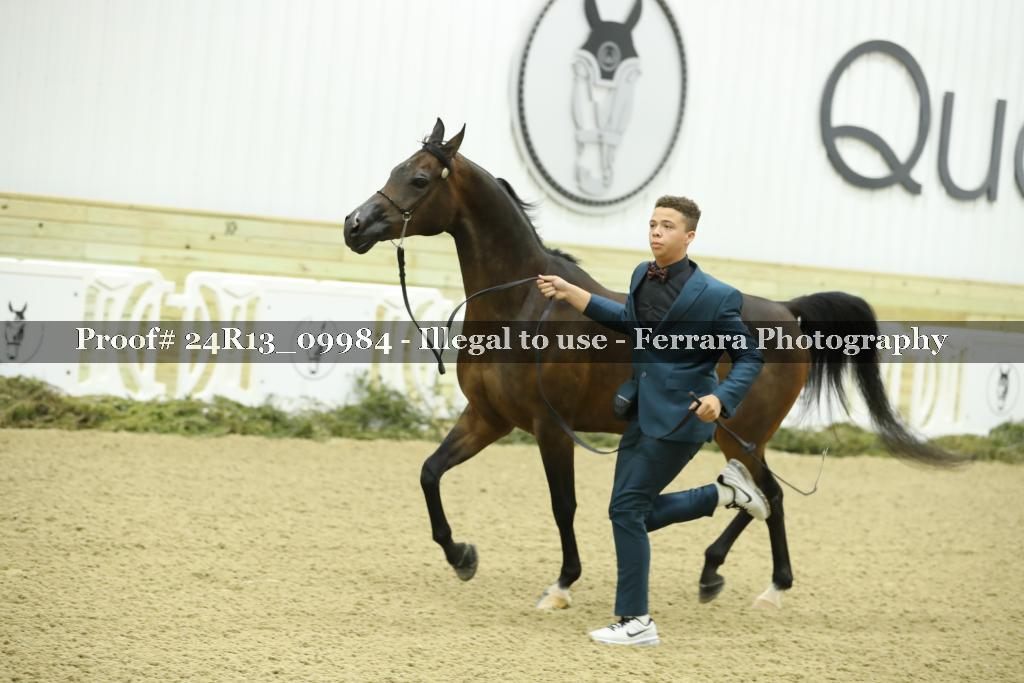 Proof 24R13_09984