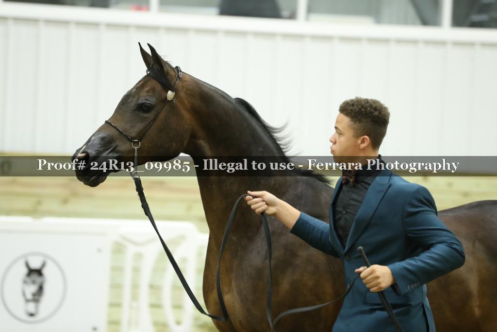 Proof 24R13_09985