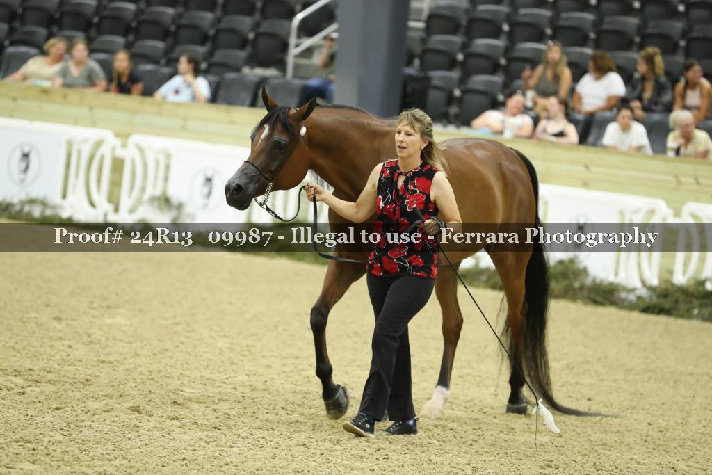 Proof 24R13_09987