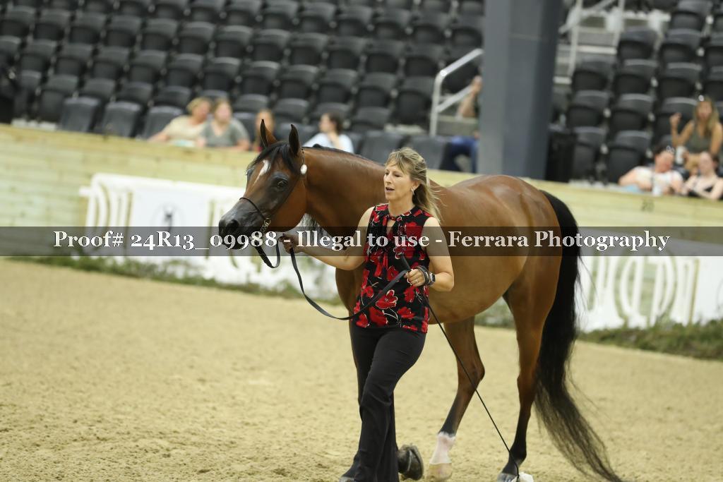 Proof 24R13_09988
