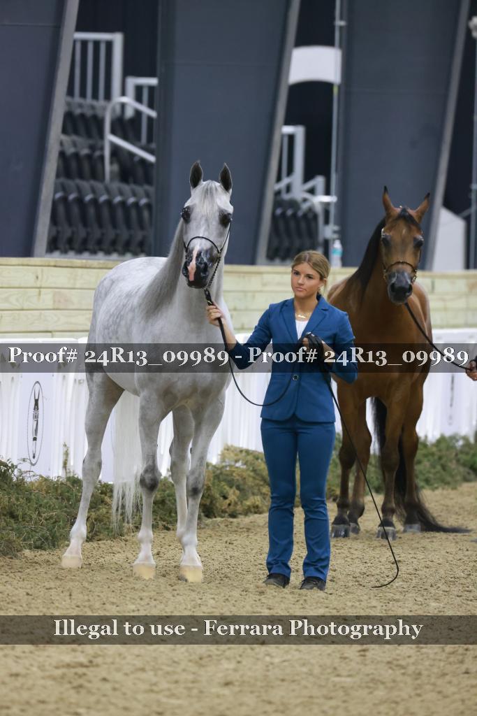 Proof 24R13_09989
