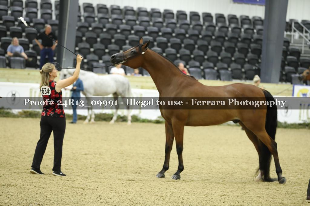 Proof 24R13_09991