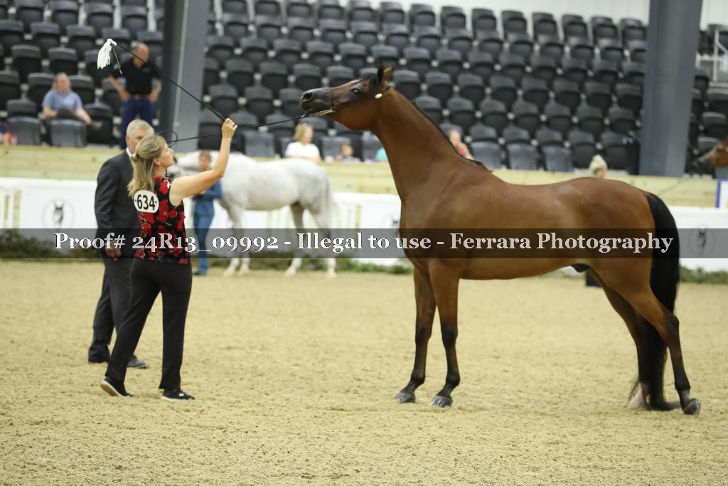 Proof 24R13_09992