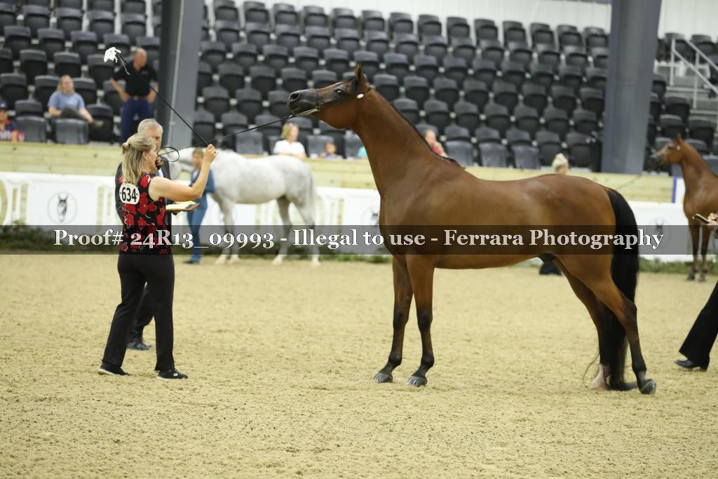 Proof 24R13_09993