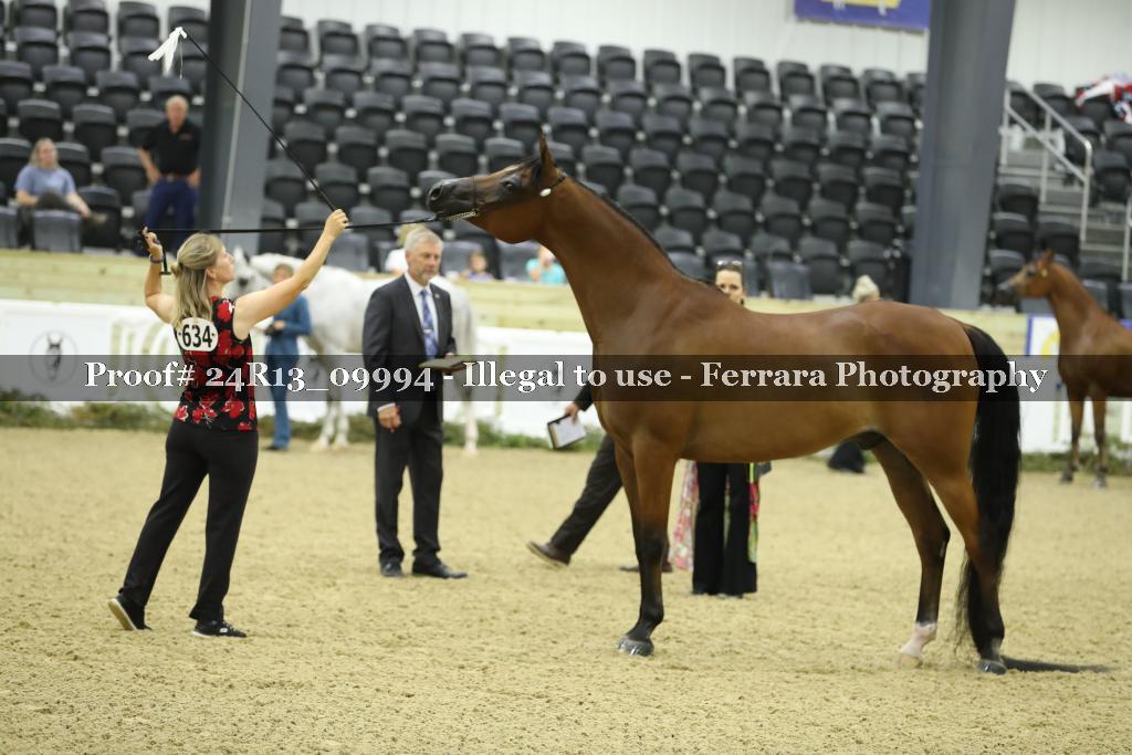 Proof 24R13_09994