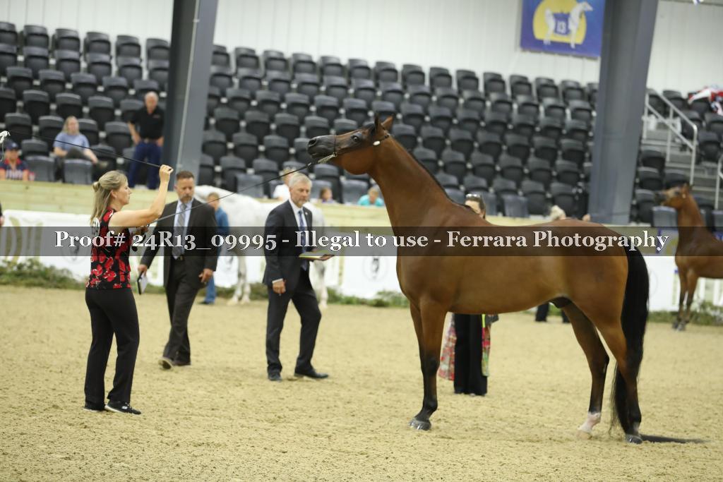Proof 24R13_09995