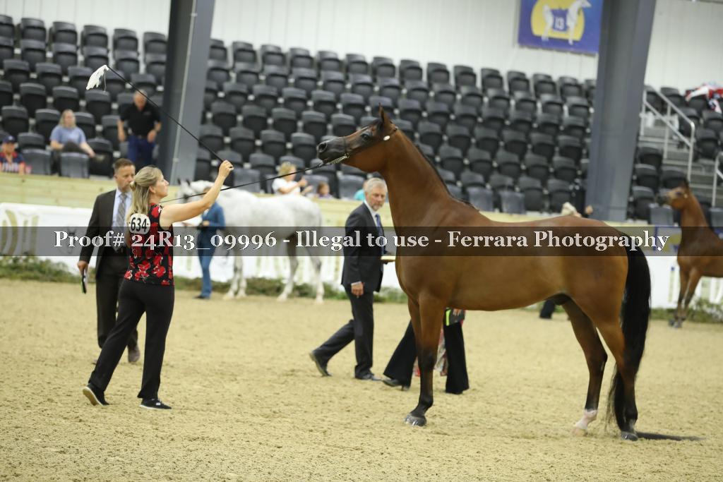 Proof 24R13_09996