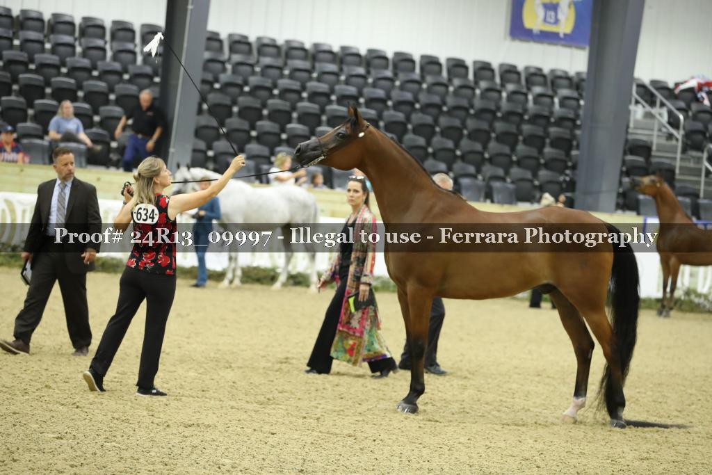 Proof 24R13_09997