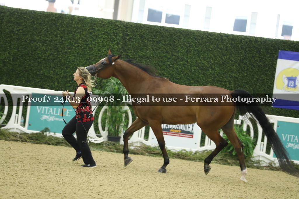 Proof 24R13_09998