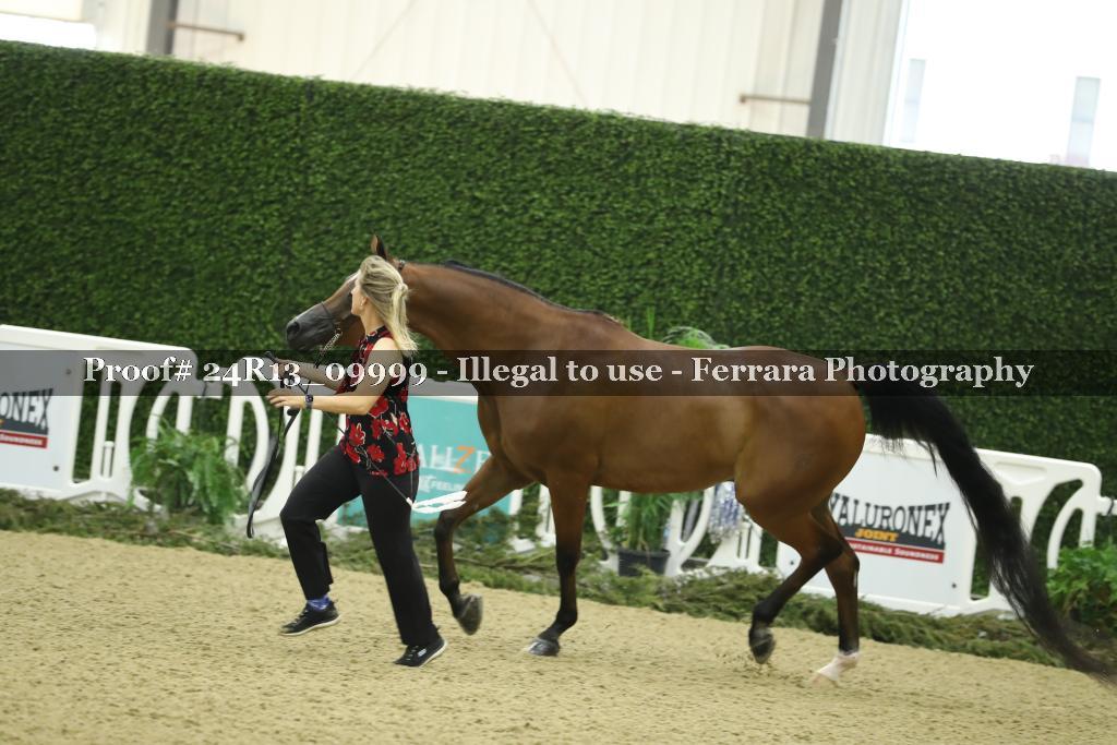 Proof 24R13_09999