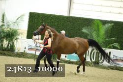 24R13_10000 proof