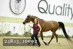 24R13_10002 proof