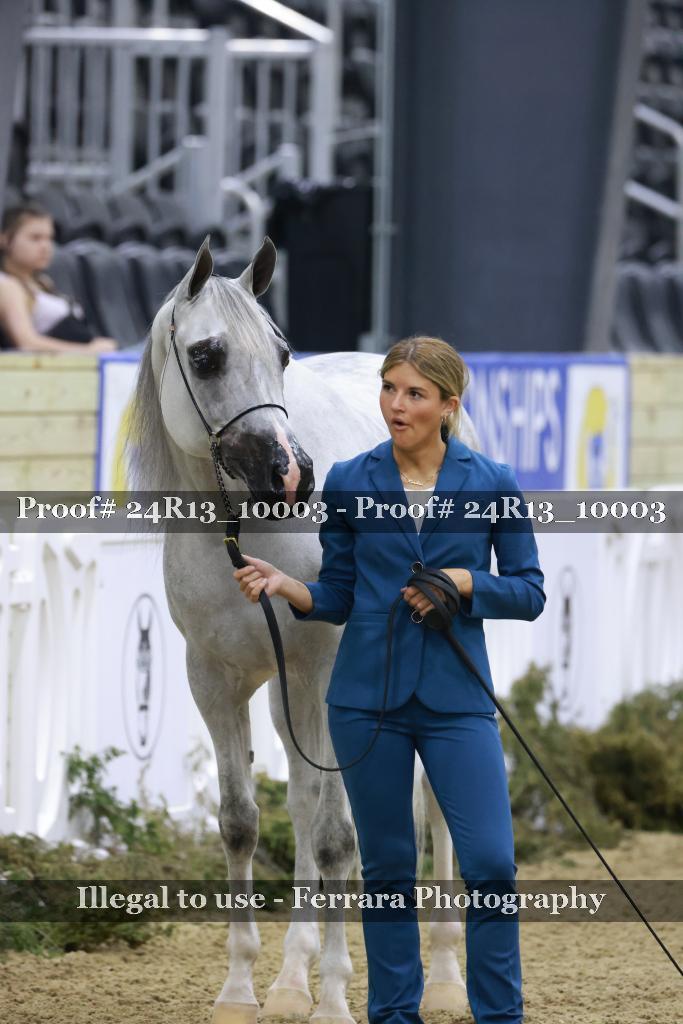 Proof 24R13_10003