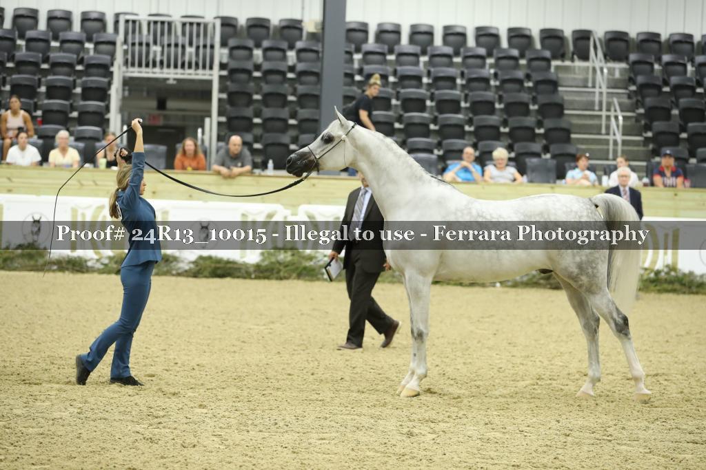 Proof 24R13_10015