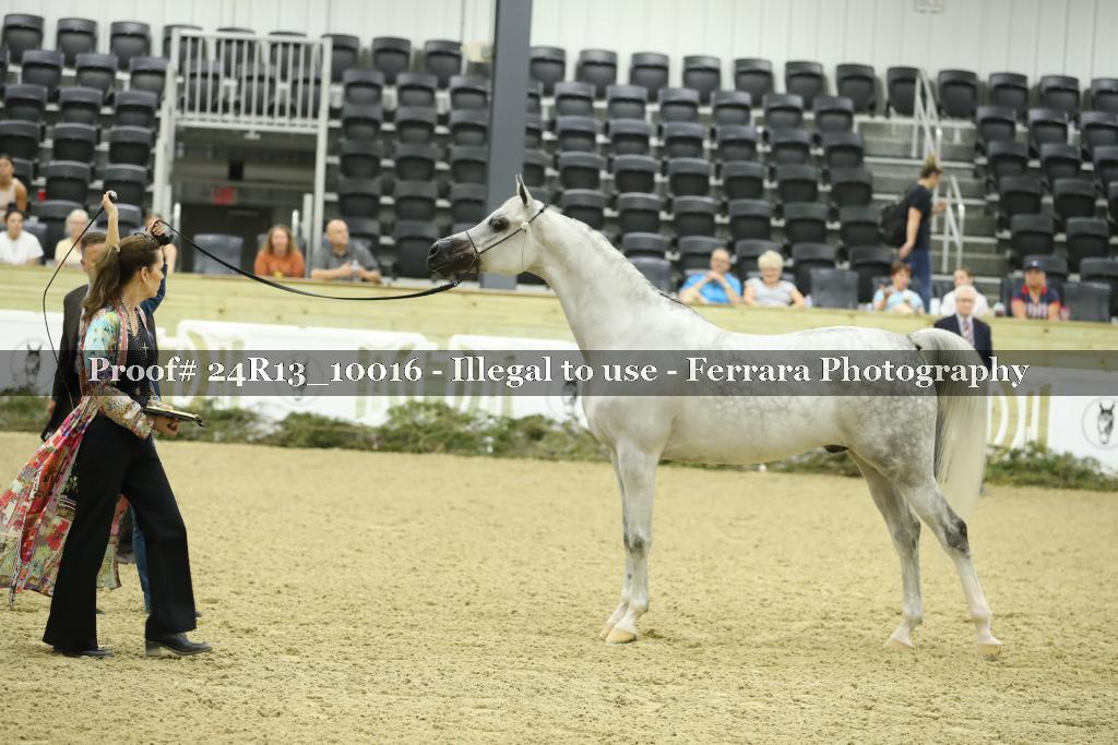 Proof 24R13_10016