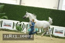 24R13_10022 proof