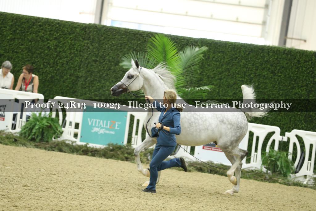 Proof 24R13_10023