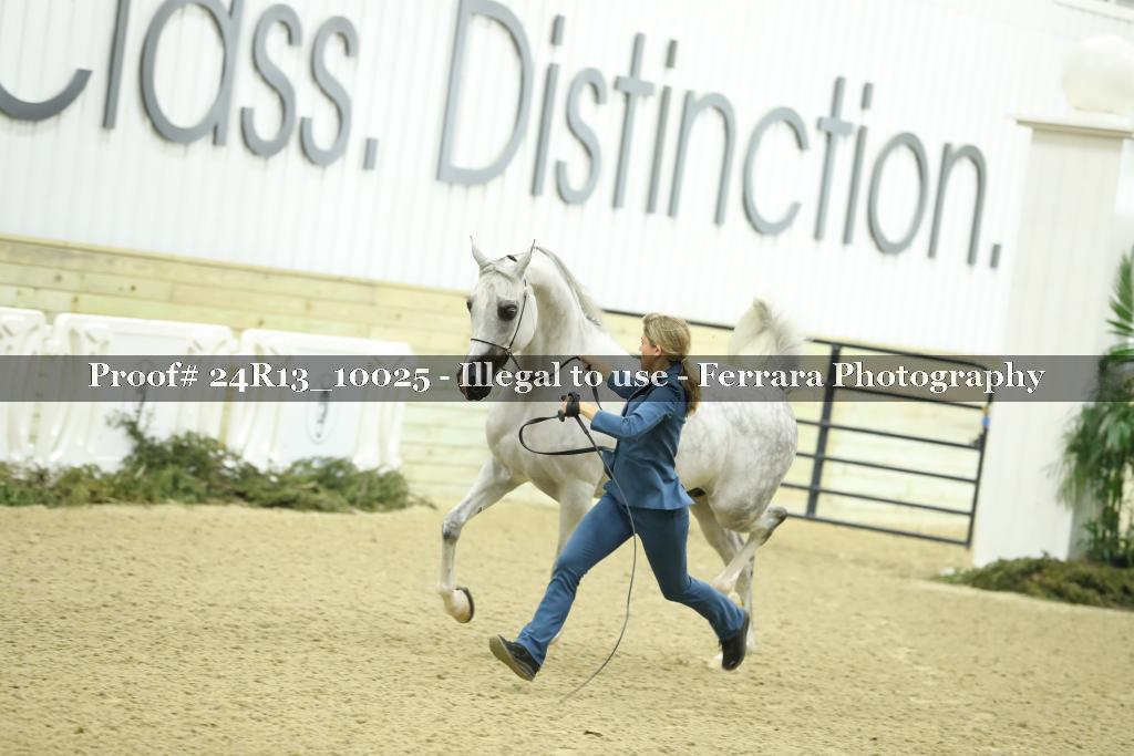 Proof 24R13_10025