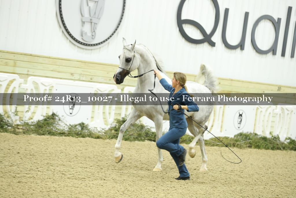 Proof 24R13_10027