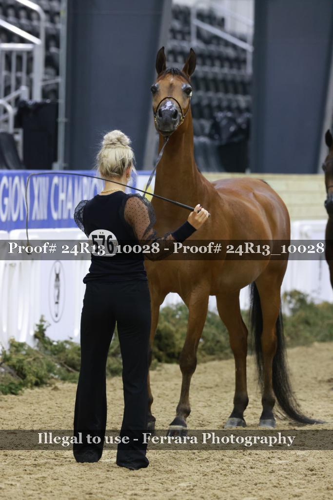 Proof 24R13_10028