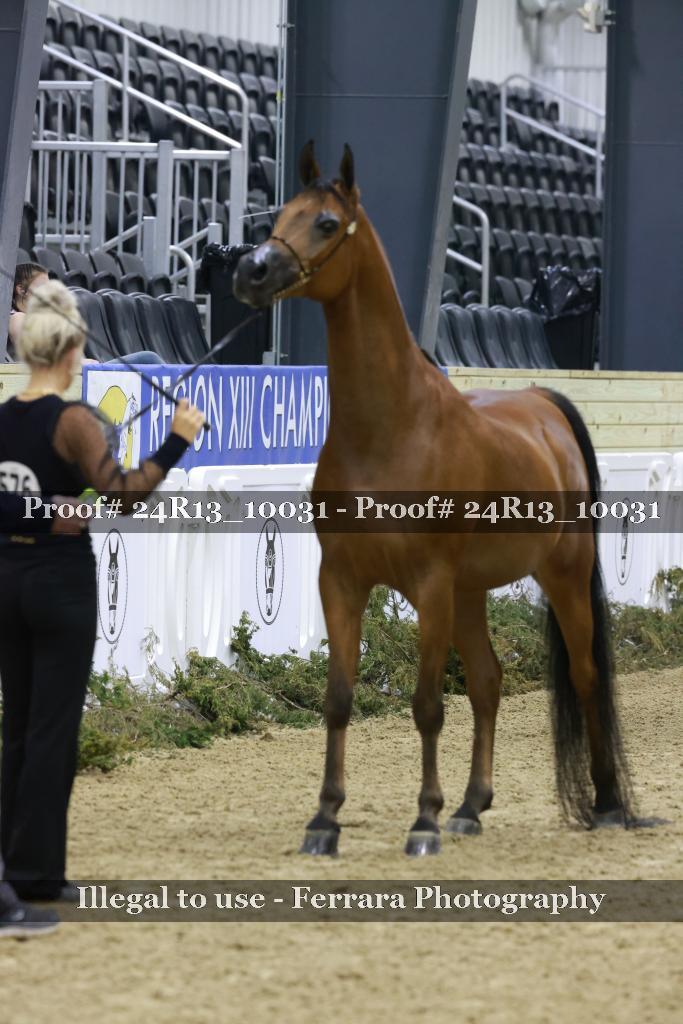 Proof 24R13_10031