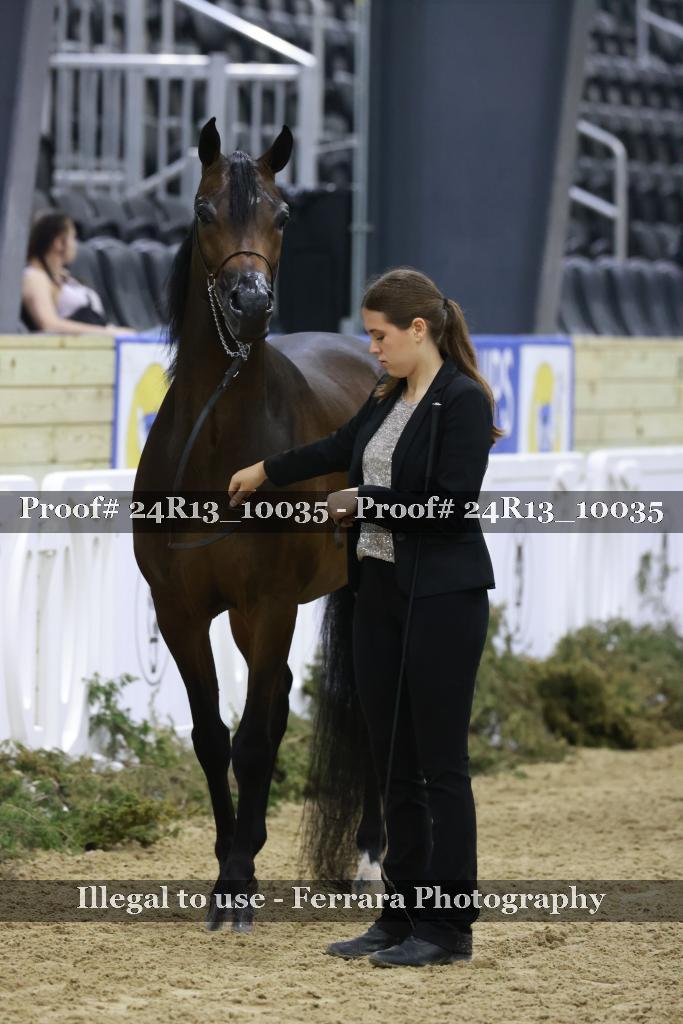 Proof 24R13_10035