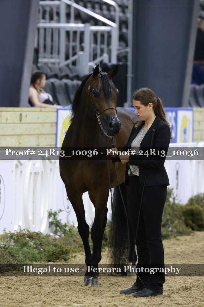 Proof 24R13_10036