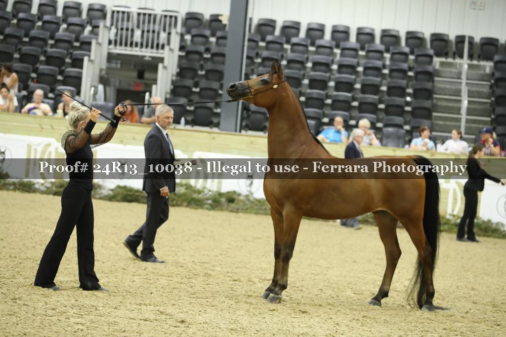 Proof 24R13_10038