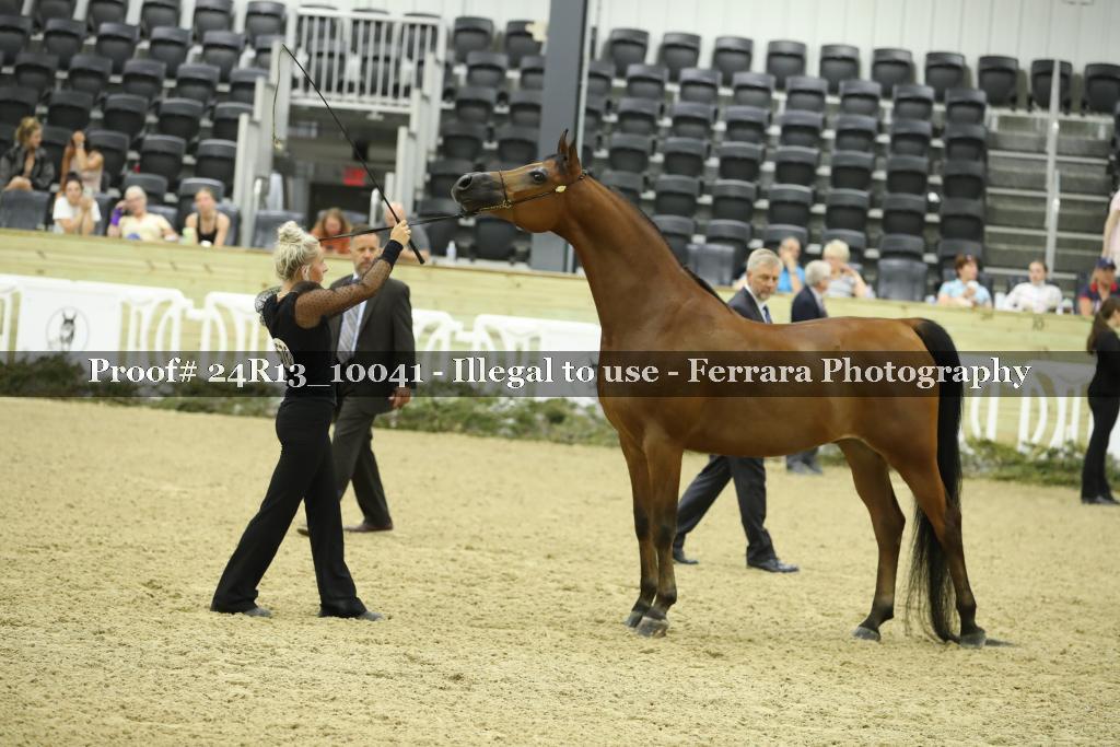 Proof 24R13_10041