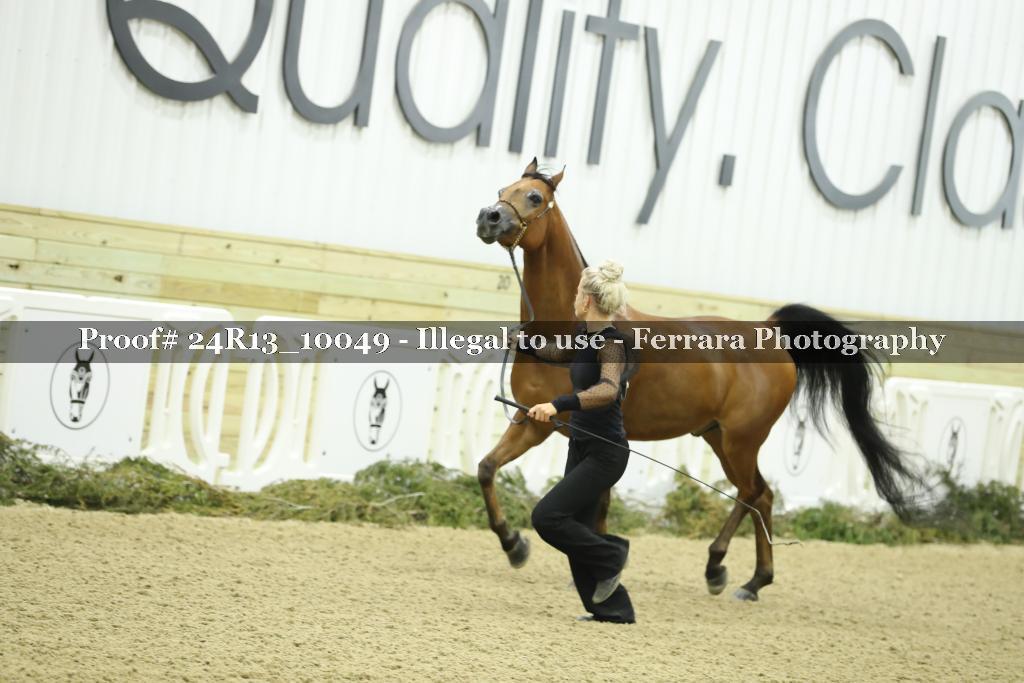 Proof 24R13_10049