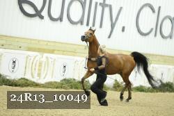 24R13_10049 proof