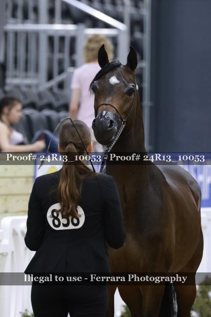 Proof 24R13_10053