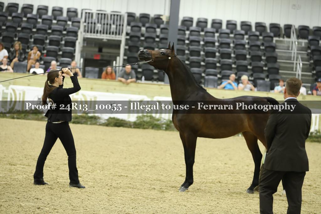 Proof 24R13_10055