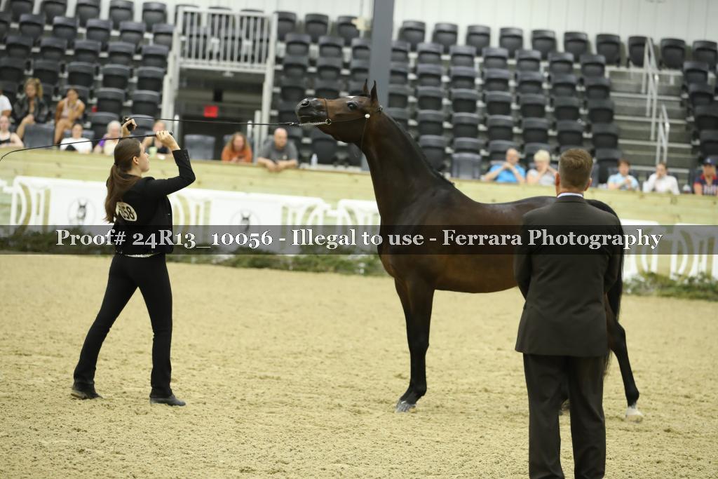 Proof 24R13_10056