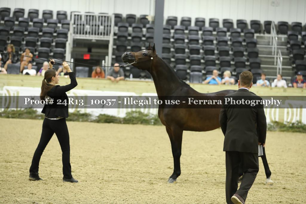 Proof 24R13_10057